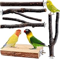 BBjinronjy Natural Wood Bird Perch Toys for Parakeets, Budgies, Cockatiels - Multi-Branch Stand & Platform for Chewing & Play