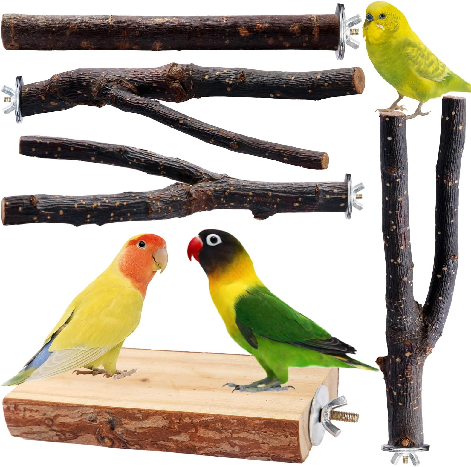 Bird Toys Parakeet Perch Budgie Perch Wood Stand Fork Toys Multi-Branch Perch Platform Toy for Small Conures,Cockatiel,Parrotlet,Lovebird,Parrot,Finches