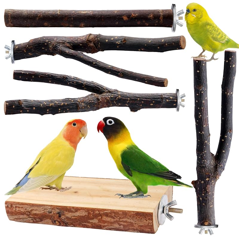 Poleiro para Aves em Madeira Natural e Madeira de Macieira BBjinronjy com 5 Peças