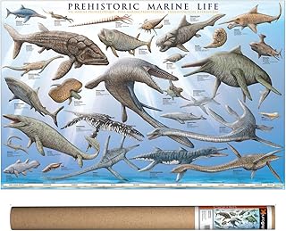 EuroGraphics Prehistoric Marine Life, Poster 36 x 24 inch