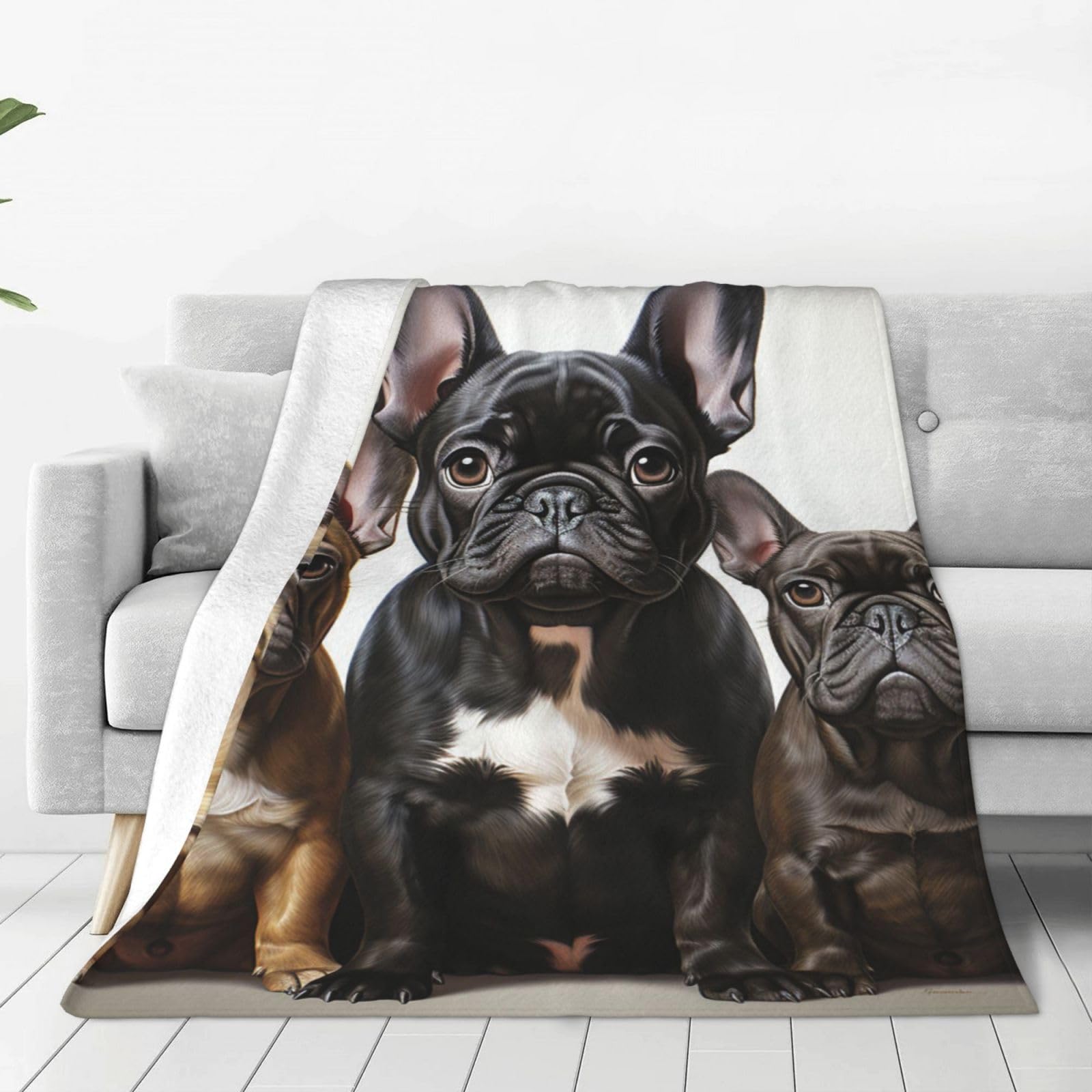 Throw Blanket for Couch Thick Soft Fleece Blankets Warm Cozy Air Conditioning Quilt All Seasons French bulldog puppies Blanket Lightweight Flannel Fuzzy Blankets for Bed Couch Living Room Sofa 40"x30"