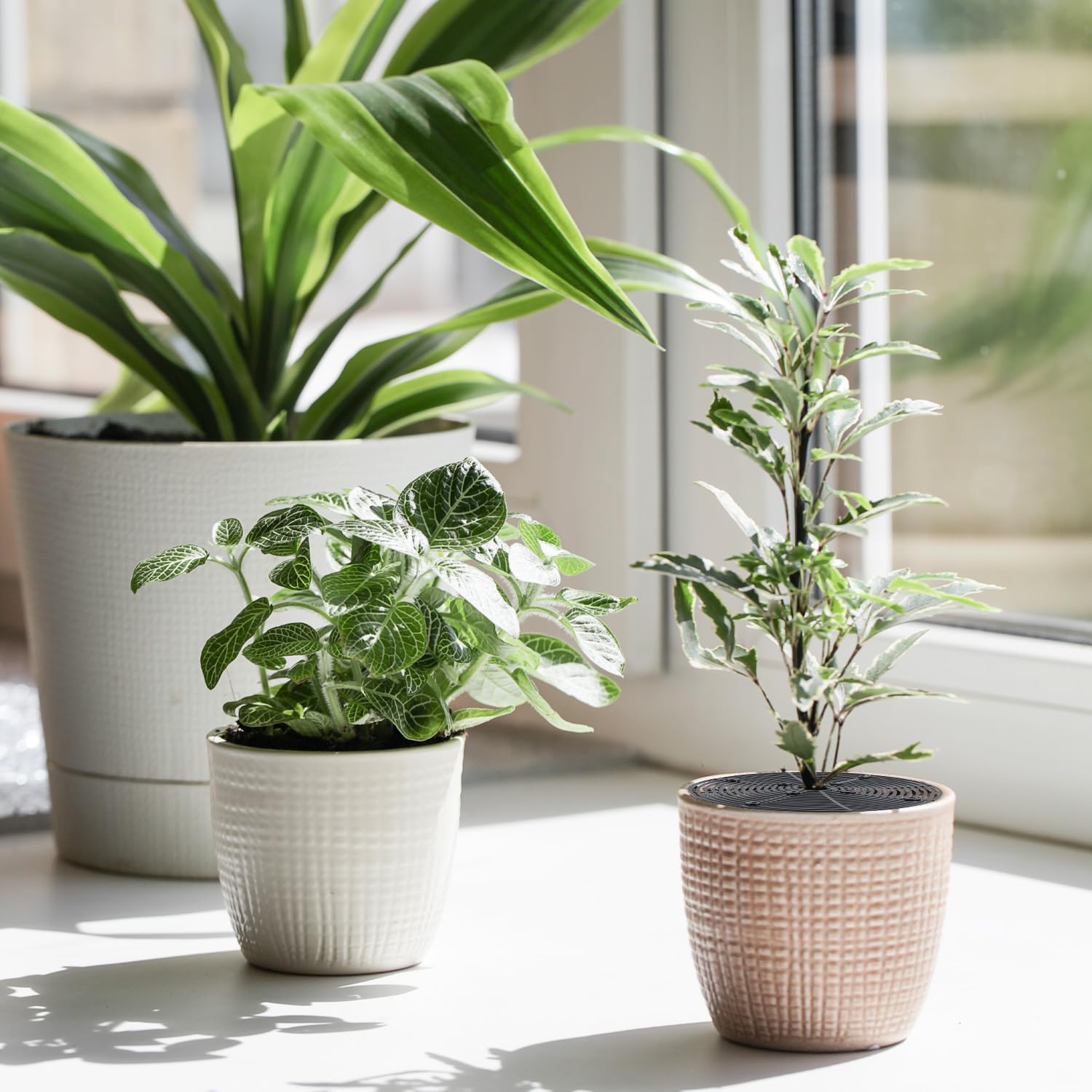 QWORK Lot de 4 Protections de Sol pour Pot Plante Ø 30 cm - Protection Chats Enfants