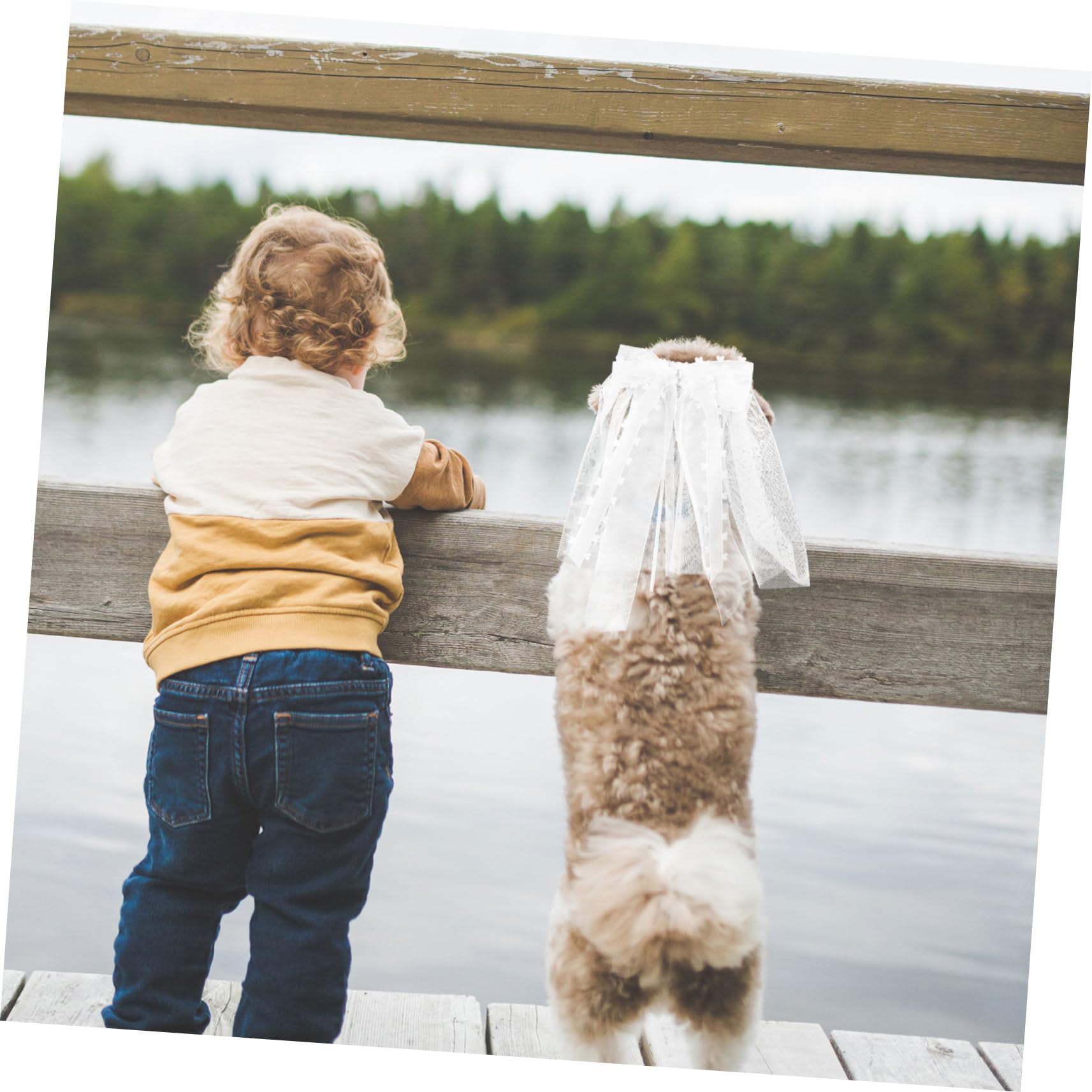 Velo da Sposa per Animali Domestici Fiocco per Gatto Copricapo Accessorio per Cane Matrimonio con Clip