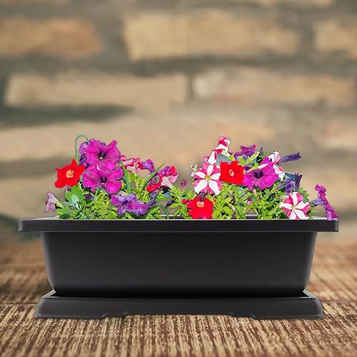 Miniatura 6 de 3 macetas de entrenamiento de bonsái de 14 pulgadas, maceta de plástico para bonsái con bandejas de drenaje, macetas rectangulares para árbol bonsái