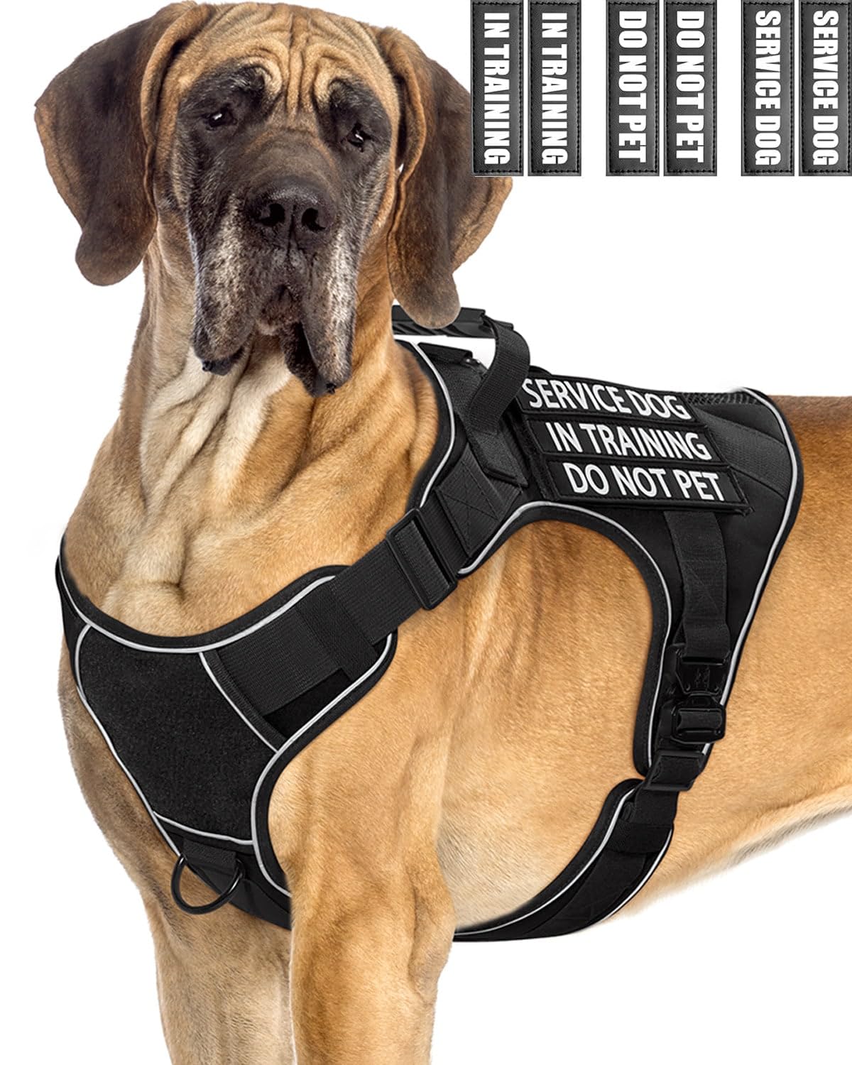 Service Dog Vest for Large Dogs, Service Dog in Training Harness with Patches, Full Metal Buckles Adjustable Dog Vest for Training Walking