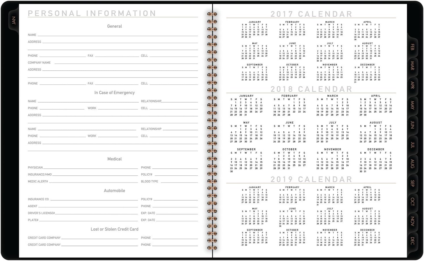 AT-A-GLANCE 70950X45-18 Weekly/Monthly Appointment Book/Planner, January 2018 - December 2018, 8-1/2" x 11", Contemporary, Graphite (70950X45)