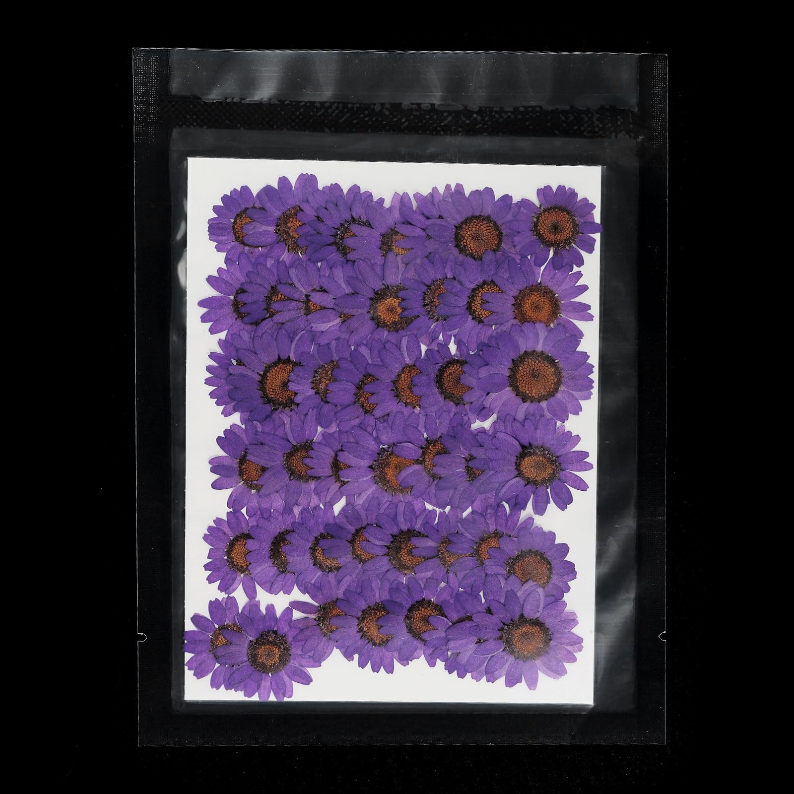 PATIKIL 48 Pcs Dried Pressed Flower Natural Dried Daisy Flower for DIY Art Crafts House Decoration Nails Decoration,Deep Purple - Image 4