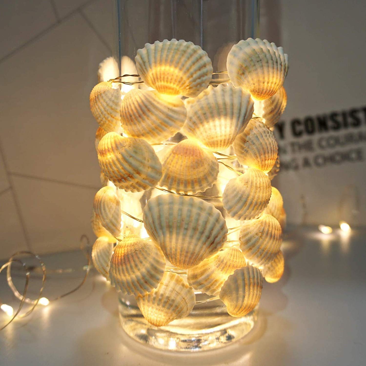 Amazon.com: HDNICEZM Beach Seashell Decorative String Lights