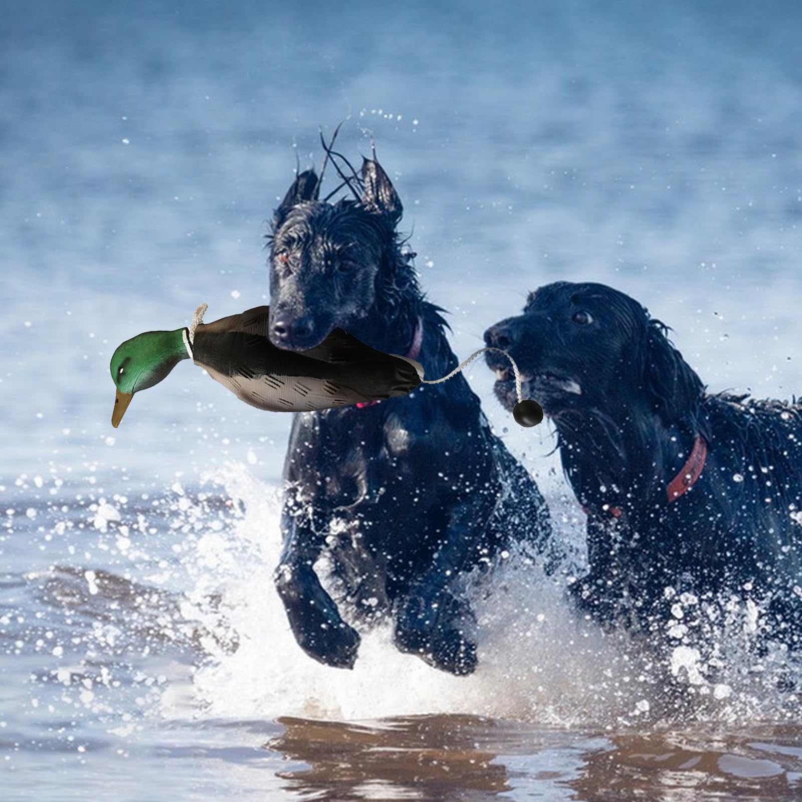 Ente Fasan Taube, Hundetraining, Taubenschnuller für Hundetraining Dummy Bumper Retriever Training Schwimmend De-ad Vogel Fowl Trainer Jagd Retriever Hundetraining Zubehör