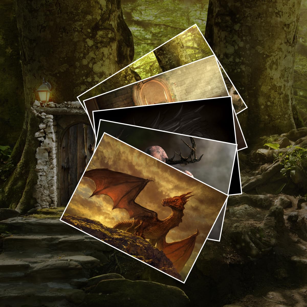Die dunklen Chroniken Band 1-6 plus 1 exklusives Postkartenset