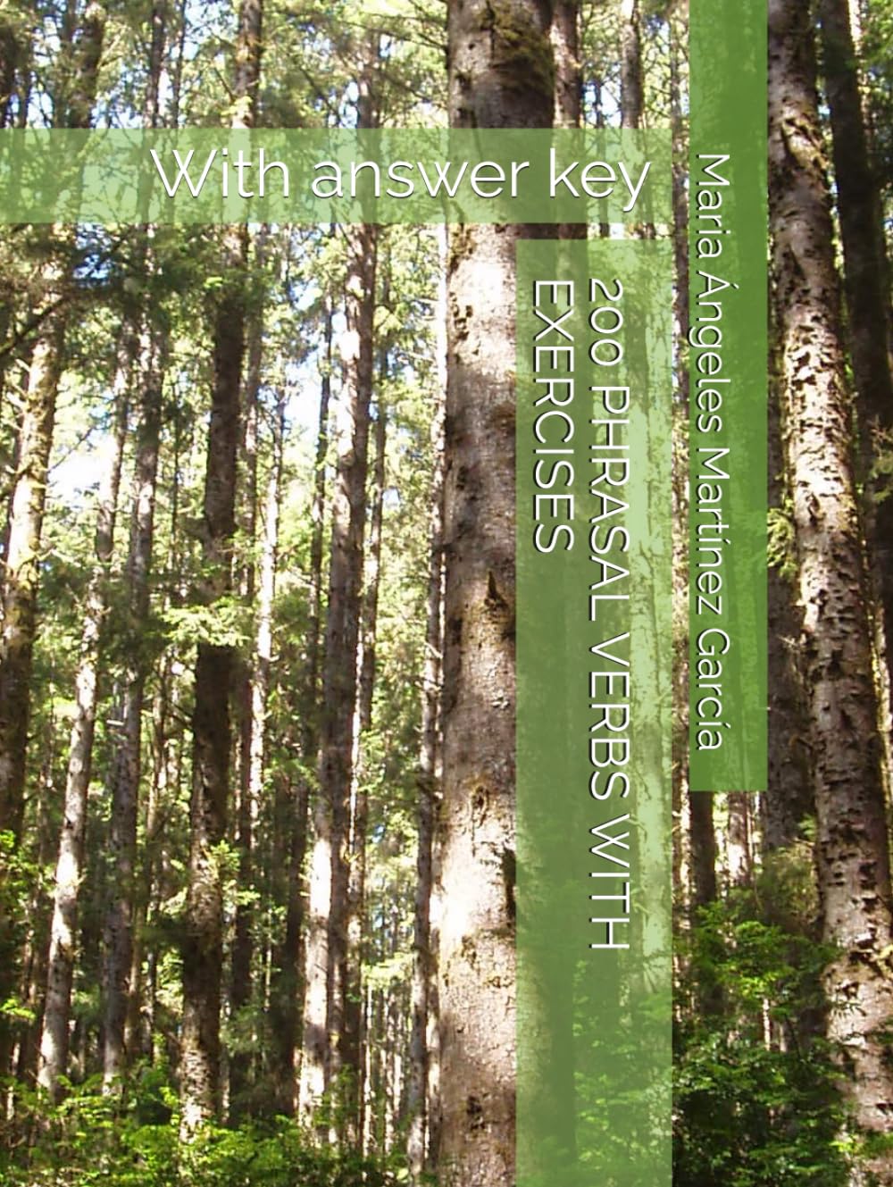 200 PHRASAL VERBS WITH EXERCISES: With answer key
