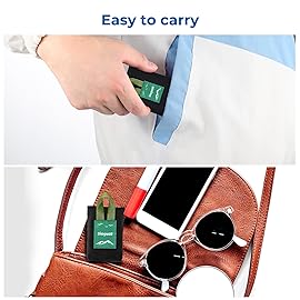 Siegvoll Pocket Picnic Blanket for 1 Persons, 43.3x27.56 (1.27oz) Super Light Compact Beach Blanket, SandProof Waterproof Portable Beach Picnic Mat for Outdoor Hiking Camping Travel Festival(Green)