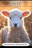 Sheep for Kids: Beautiful Pictures with Amazing Facts