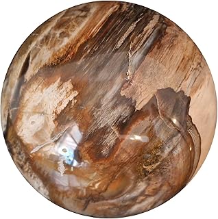 EAGems Crystal Stone Sphere, a Large Polished Gemstone Ball of Natural Petrified Wood from Madagascar, 3-4 Inch, Weight 2 Lbs or More, a Unique Gift for Home or Office