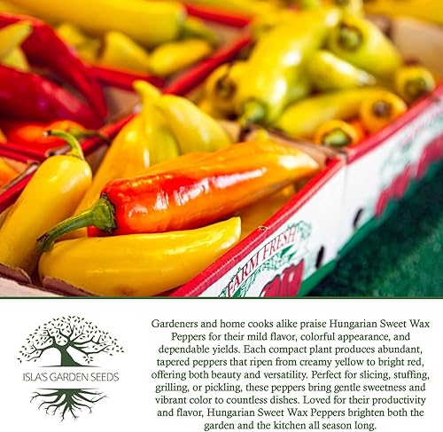 Miniatura 6 de Semillas de pimienta húngara de cera dulce, más de 100 semillas tradicionales por paquete, semillas de jardín de Isla (semillas de jardín de Isla),