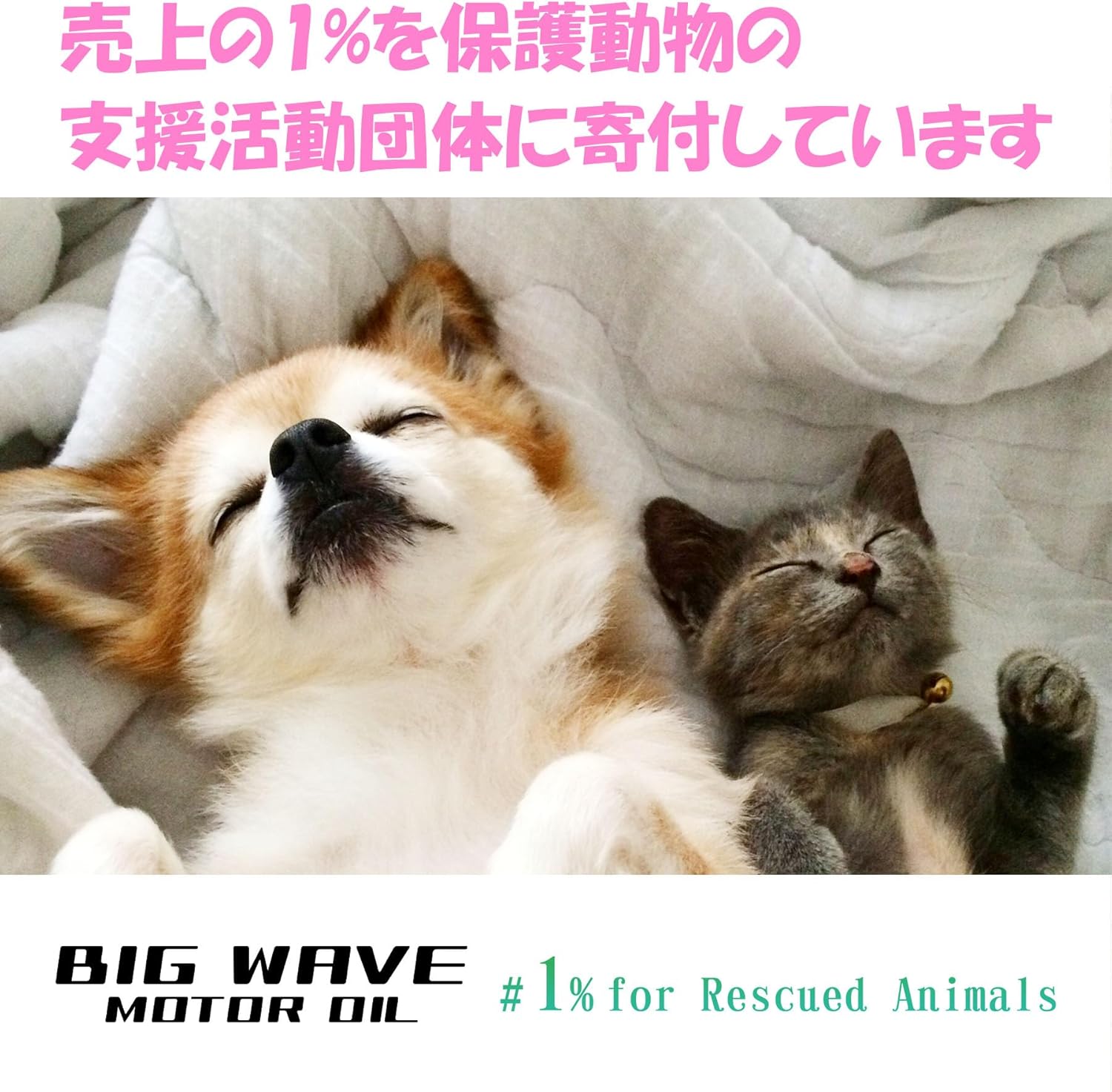 【個人宅配送】BIG WAVE MOTOR OIL SP/CF 20L + 油吸着材 すーたるマット セット (10W-40)