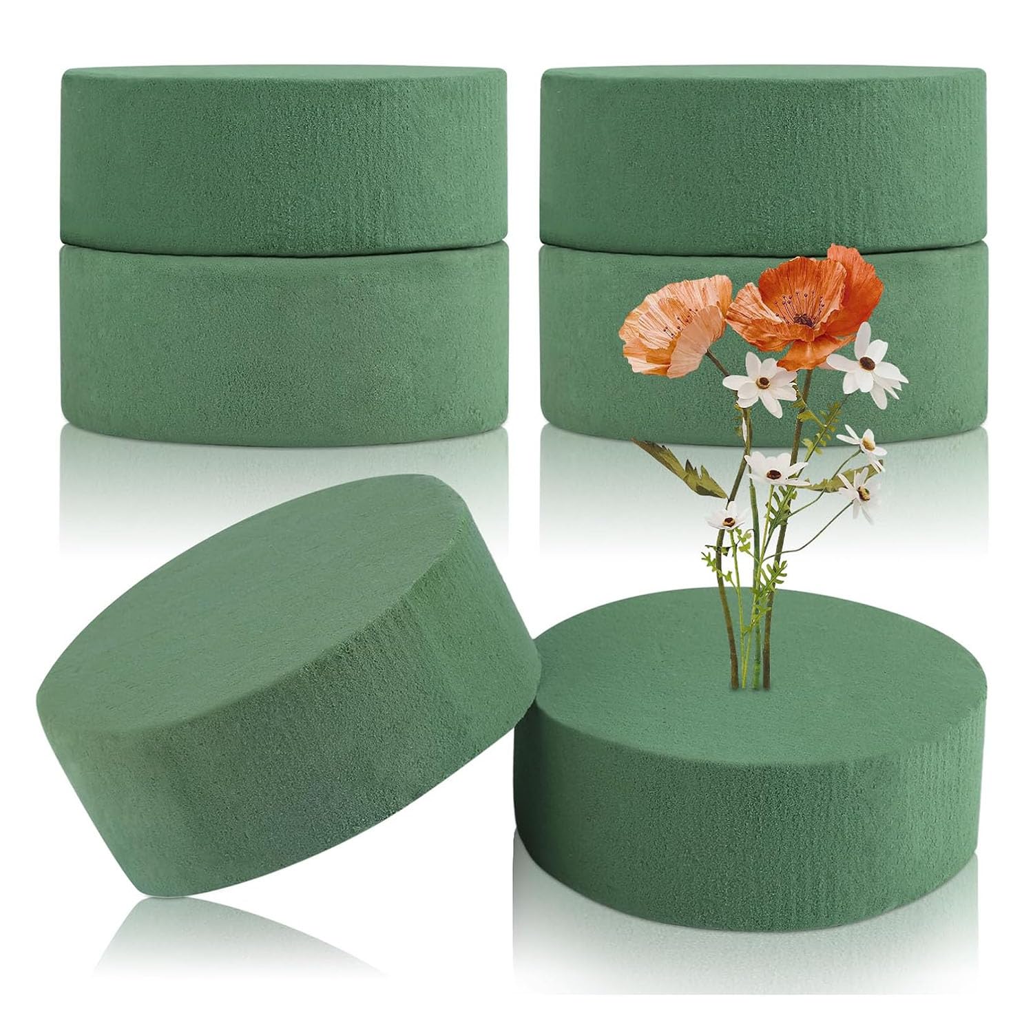 Oasis 6 Dischi Rotondi In Schiuma Per Fiori – Diametro 8 Cm, Per Composizioni Floreali Fresche E Artificiali, Matrimoni E Decorazioni - 4