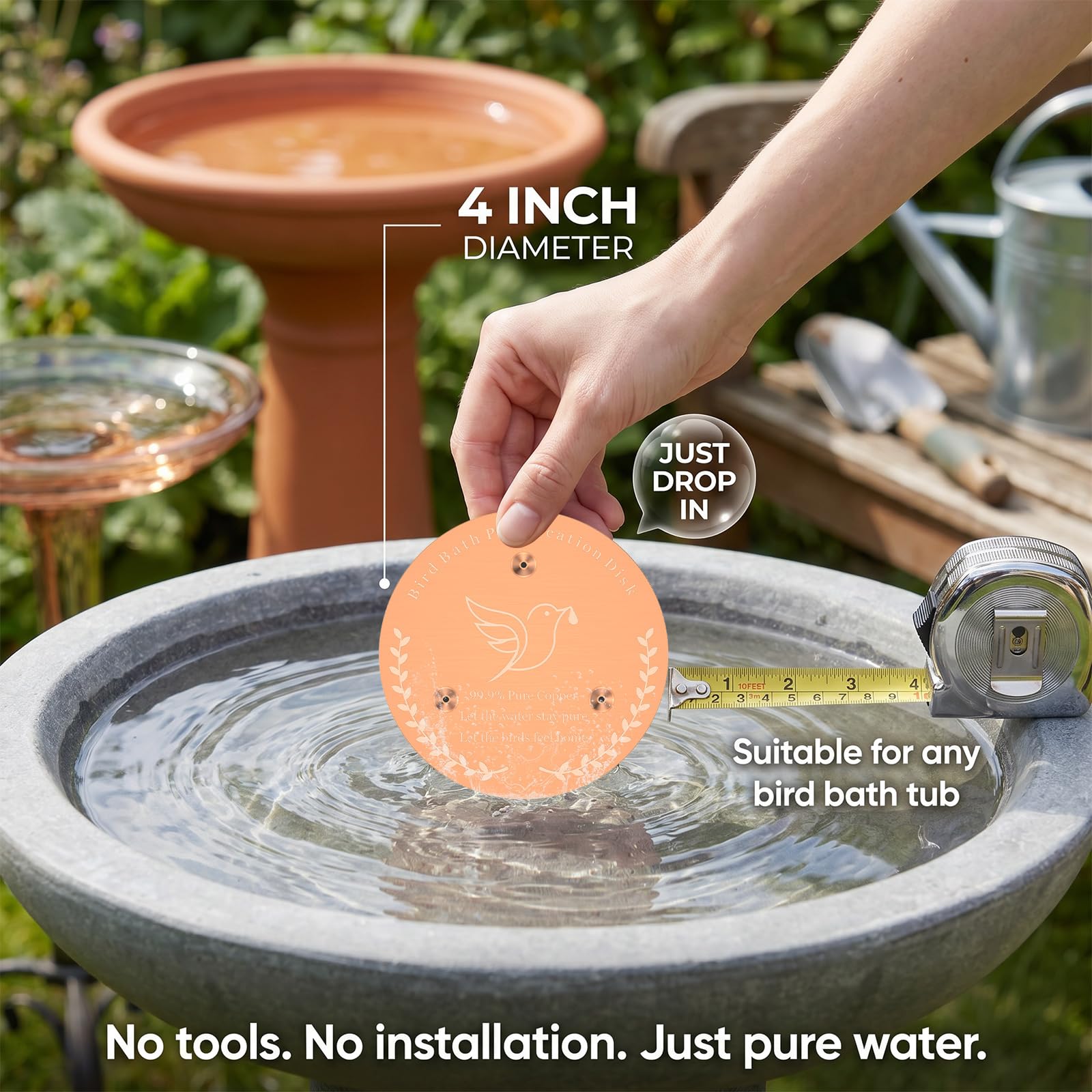 View 5