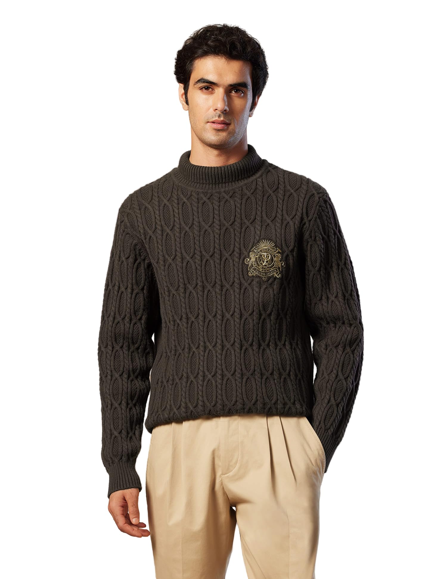 u.s. polo assn. Dark Brown Cable Knit Regular Fit Men's Sweater-picture-15