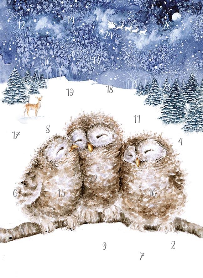 Wrendale Designs Three Wise Men Owl Advent Calendar