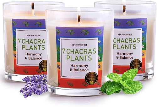 Magnificent 101 Juego de 3 velas de aromaterapia de larga duración con 7 chakras | 10.5 onzas – 42 horas de combustión | 100% cera de soja y hierbas