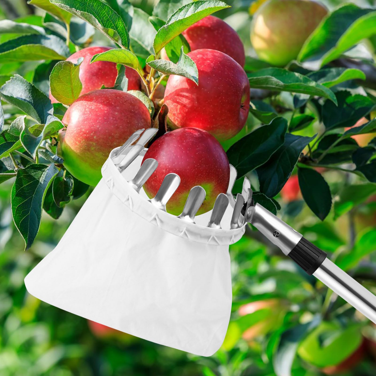 4.2M Obstpflücker mit Teleskopstiel, 10 Abschnitte Apfelpflücker mit Stoffbeutelhalter und Schnur-Aufbewahrungstasche, Zum Pflücken von Früchten aus hohen Bäumen