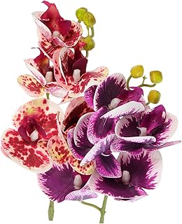 2 Pçs Decoração De Plantas De Répteis Vasos De Plantas Decoração Artificial Decoração De Casa Decoração De Escritório Plantas De Tartaruga Falsas Plantas De Terrário Plantas De