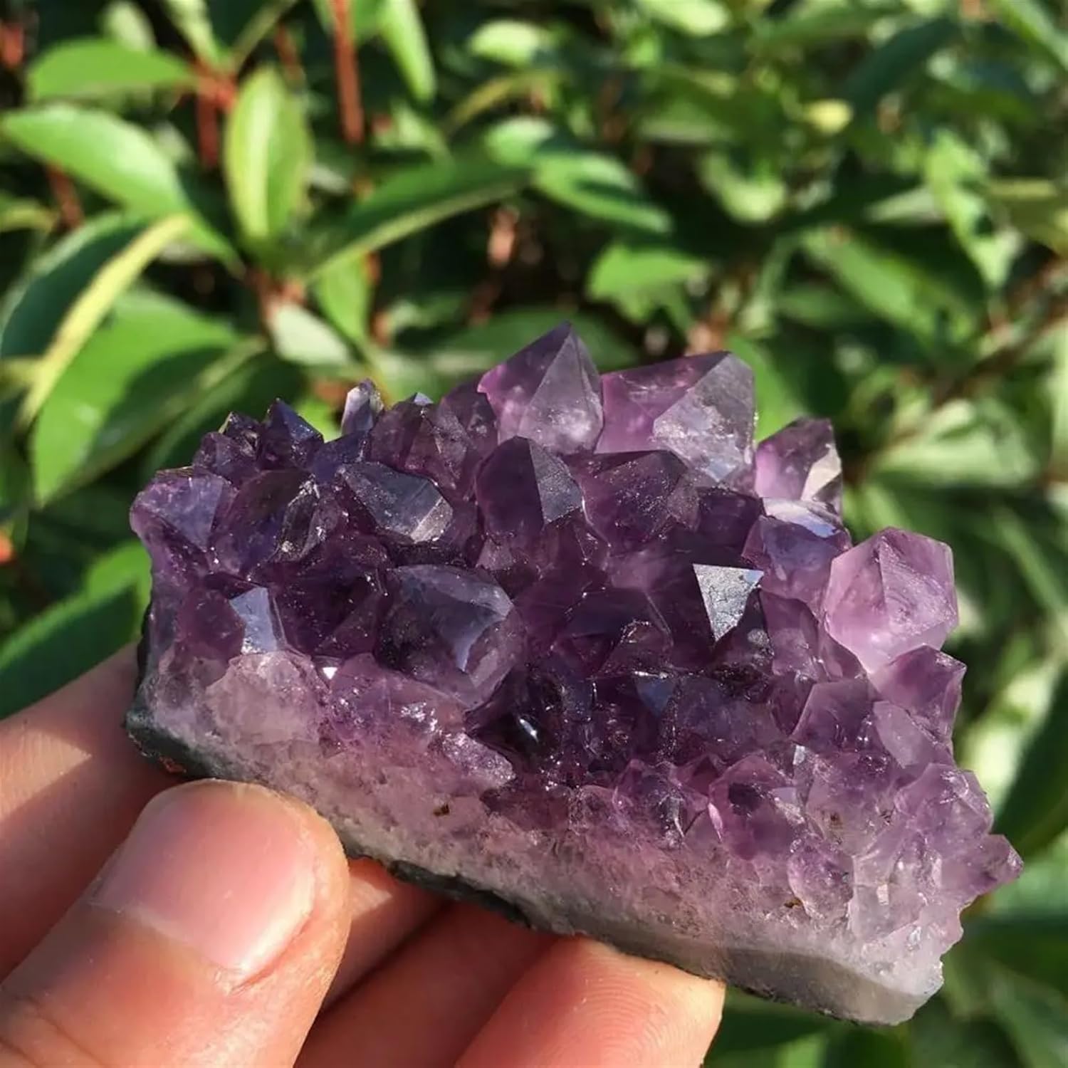 Dream Amethyst Quartz Crystal Cluster Ornaments (Size : 80-100g)
