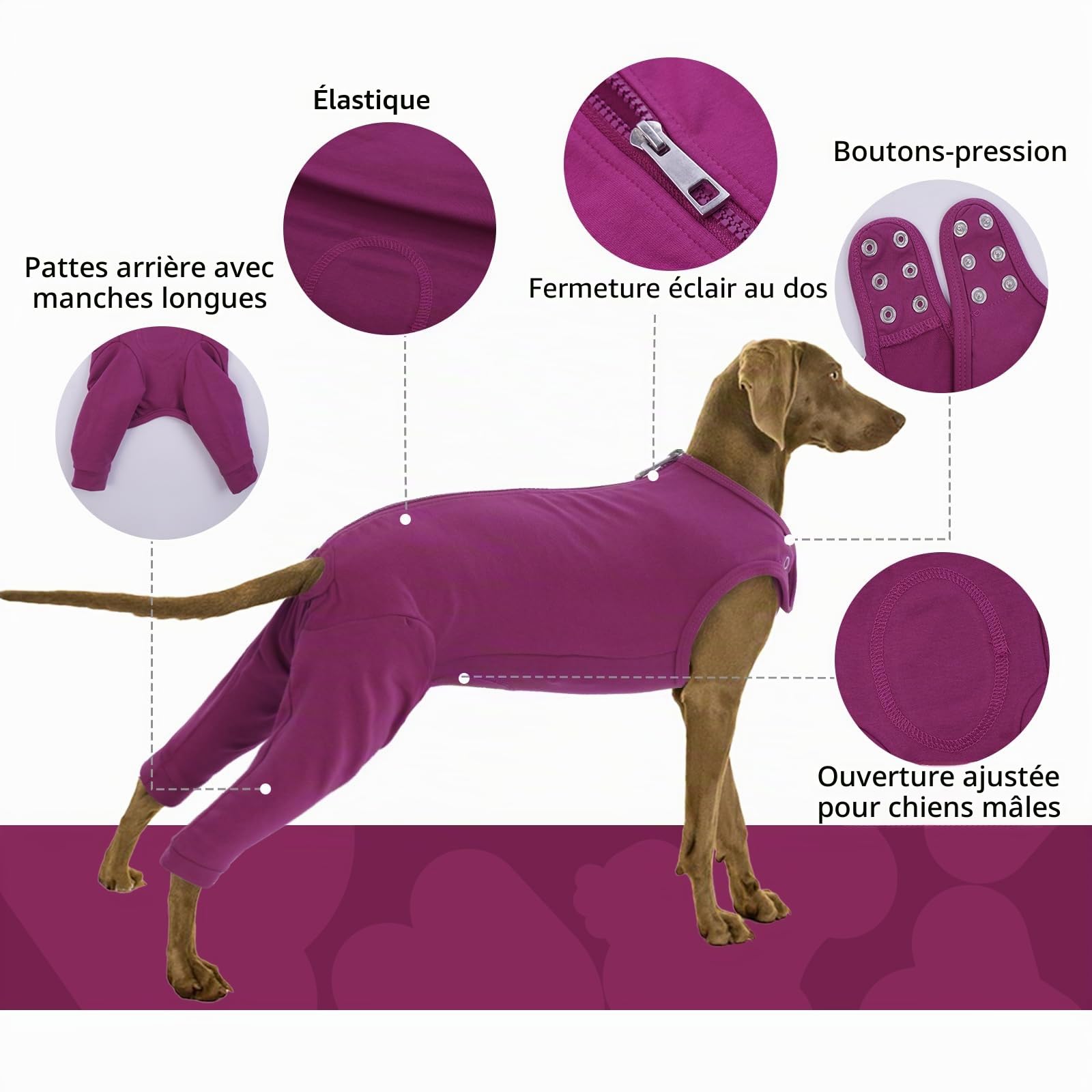 Combinaison De Récupération pour Chien, Body Post Operatoire Male Combinaison de Convalescence pour Chiens Protection Patte Anti Lechage(Violet-Rouge, L)
