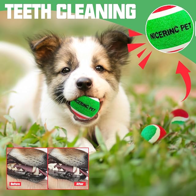 Foto 3 de 6 de NICERINC PET Pelotas de tenis para perros XS de 1.5 pulgadas, paquete de 12, lanzadores de pelotas