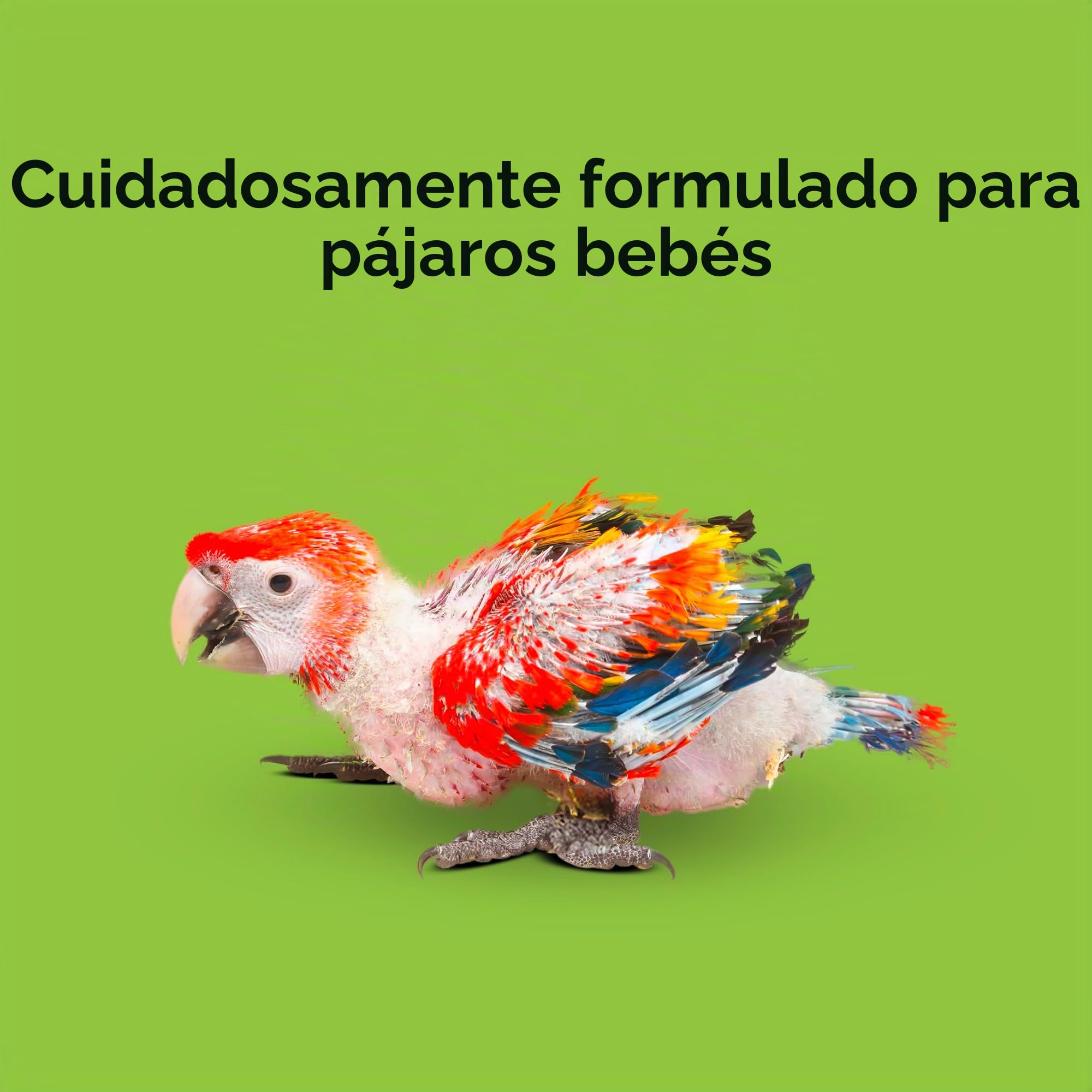 Kaytee Alimentación Manual exacta para pájaros bebés, 18 onzas