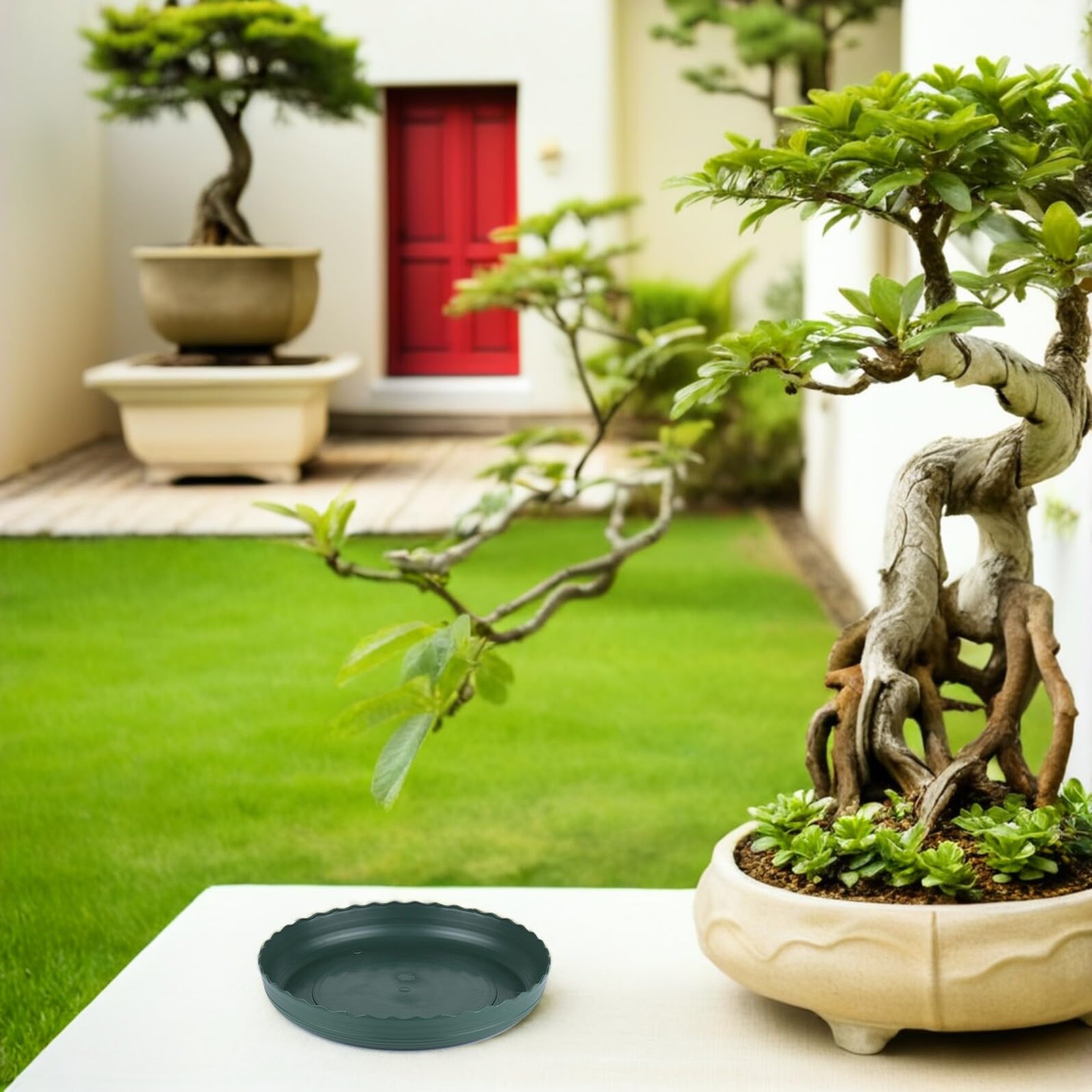 TOYANDONA 20 Piezas Platillos para Plantas Redondos Base para Macetas de Plástico Grueso Bandejas Impermeables para Jardín Interior y Exterior Protección Antigoteo para Plantas