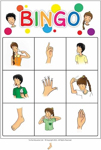 Miniatura 7 de Body Parts - Tarjetas didácticas en español  Tarjetas flash con juego de bingo a juego para niños pequeños, niños y adultos  Tamaño 4.13 × 5.83