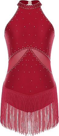 Womens Rhinestone Latin Dance Costume Fringe Hem Cha Cha Tango Samba Ballroom Dance Dress