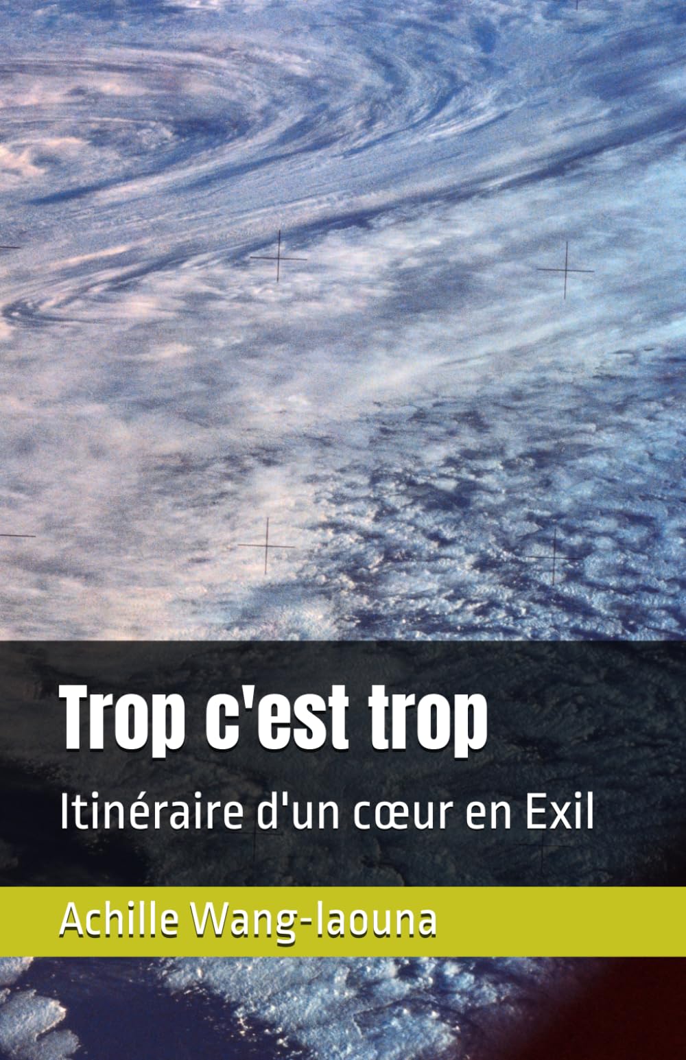 Trop c'est trop: Itinéraire d'un cœur en Exil