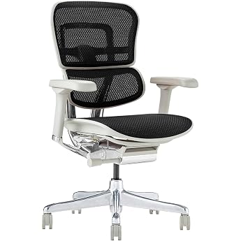 ergohuman 2 EHP2-LAM-GF-BK Office Chair Frame Gray, Mesh Black, Pro, Low Type,