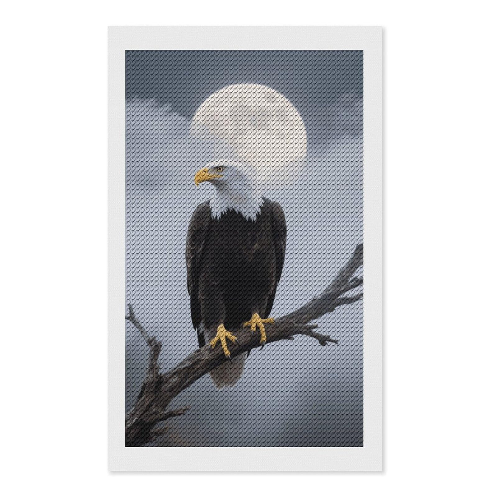 FodPand Eagle Full Moon 5D Diamond Painting Kits for Adults Beginners Full Drill Round Diamond Dots Pictures Gem Art Supplies for Home Wall Room Decoration DIY Craft Set Gift 12x20