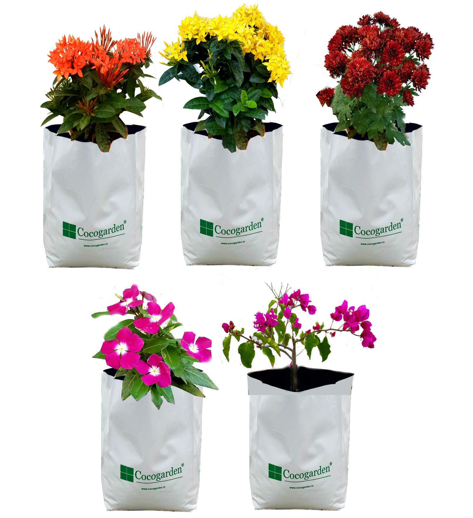 Cocogarden Grow Bags - Terrace Gardening -12 Cocogarden Grow Bags - Terrace Gardening -12