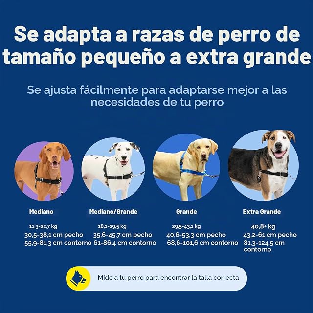 Foto 7 de 8 de Arnés para Perros PetSafe Easy Walk