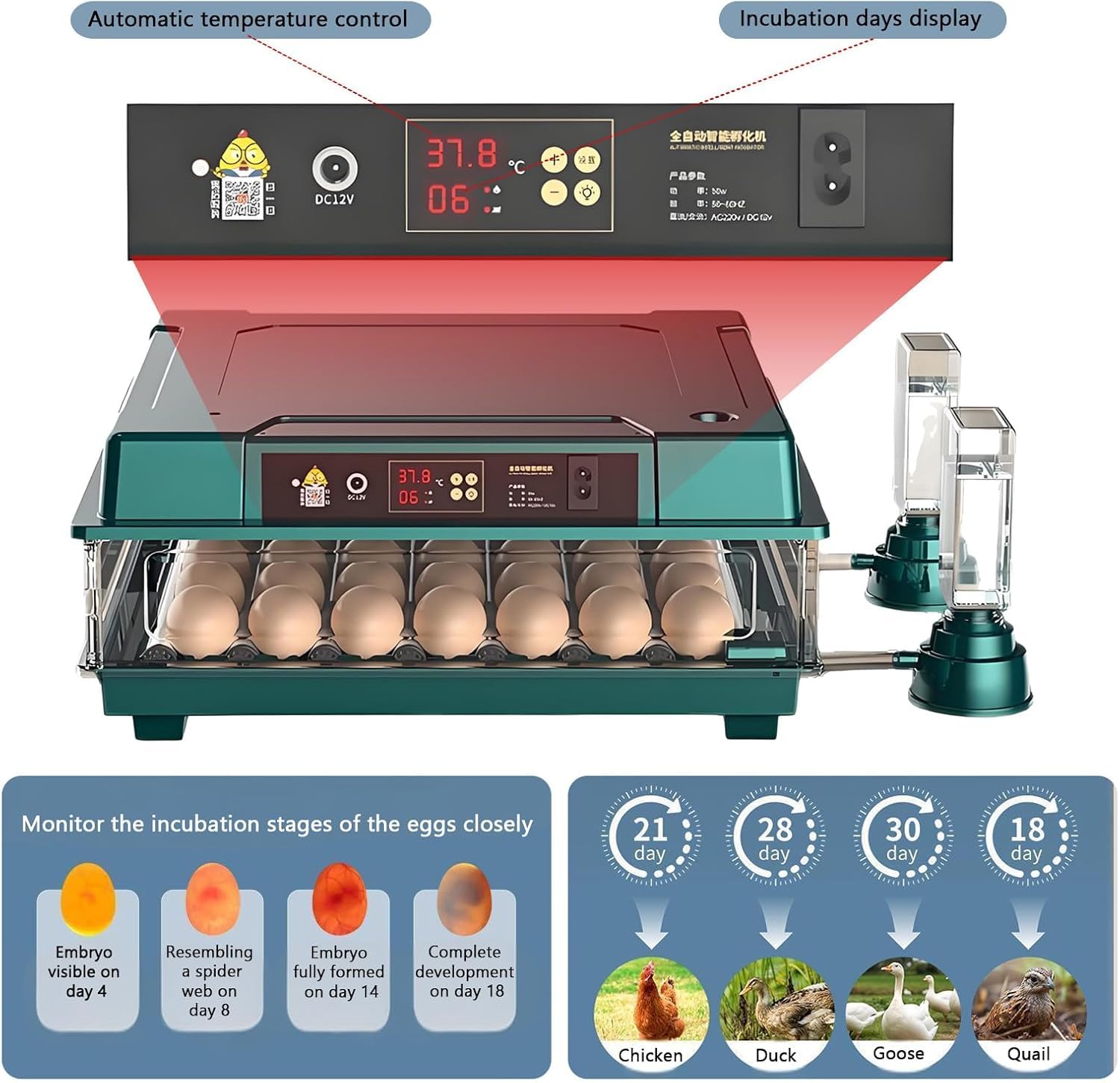 Incubateur 36 œufs avec retournement Automatique et contrôle de lhumidité pour léclosion de Poulets, Canards, oies et Pigeons.
