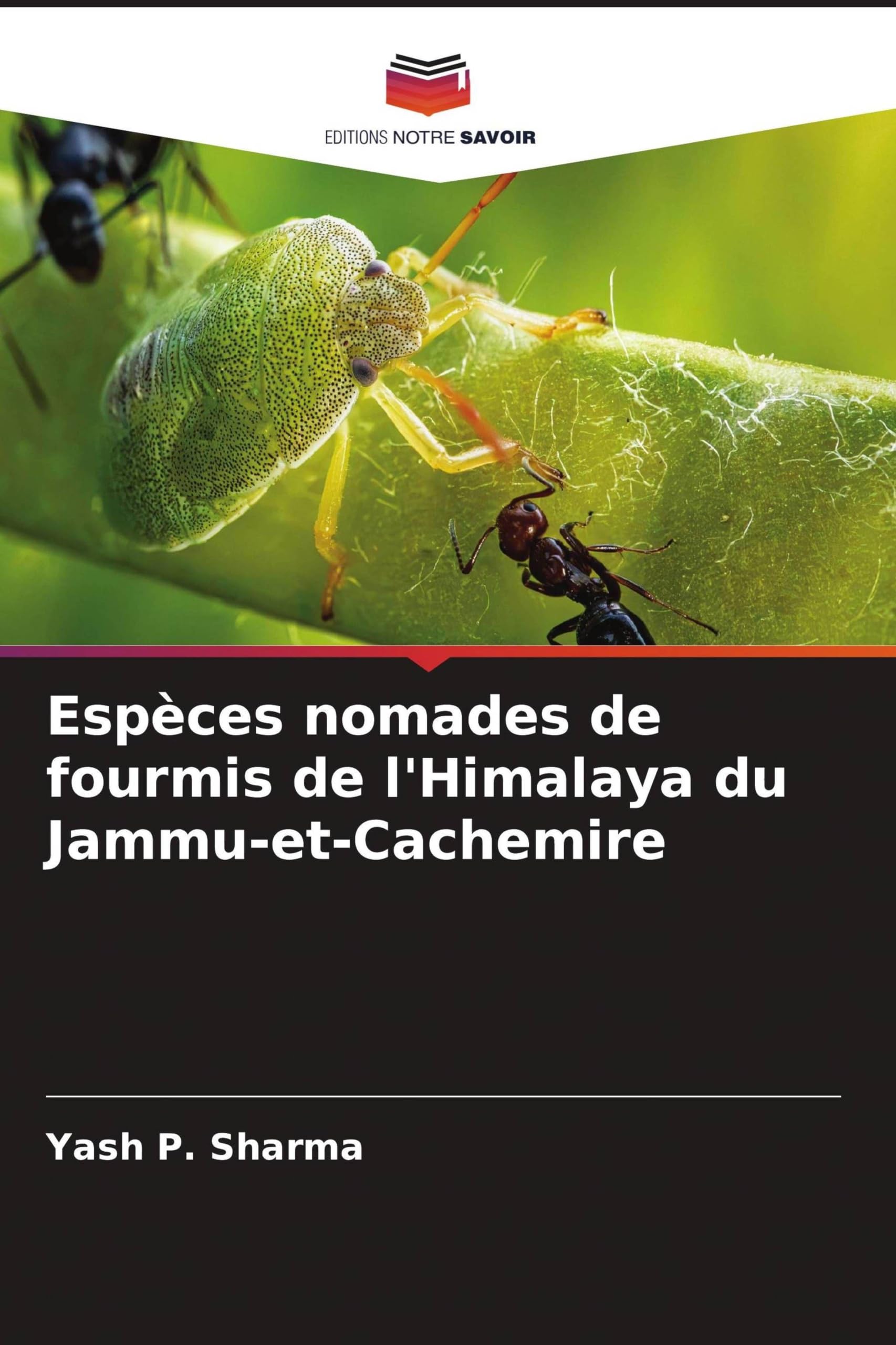 Espèces nomades de fourmis de l'Himalaya du Jammu-et-Cachemire