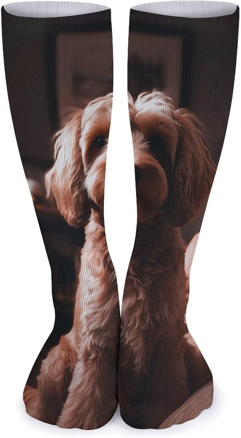 5 Pairs Knee High Socks Teddy Dog Long Tube Boot Seamless Toe