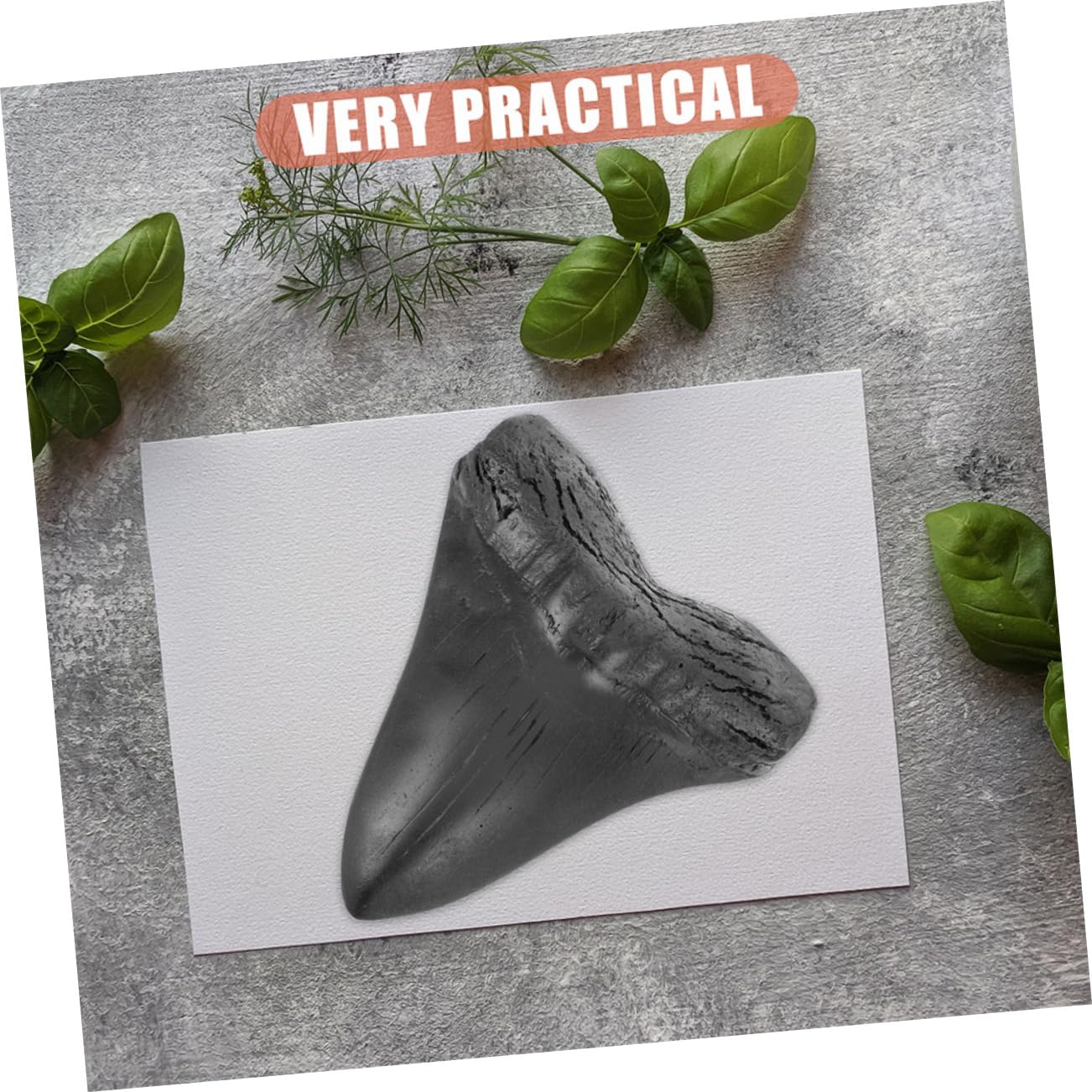 GOOHOCHY 2pcs Megalodon Giant Replica Megalodon Replica Specimen Teeth Giant Shark Sample Teeth Fake Megalodon Teeth Megalodon Shark Teeth Decor Teeth Props Black
