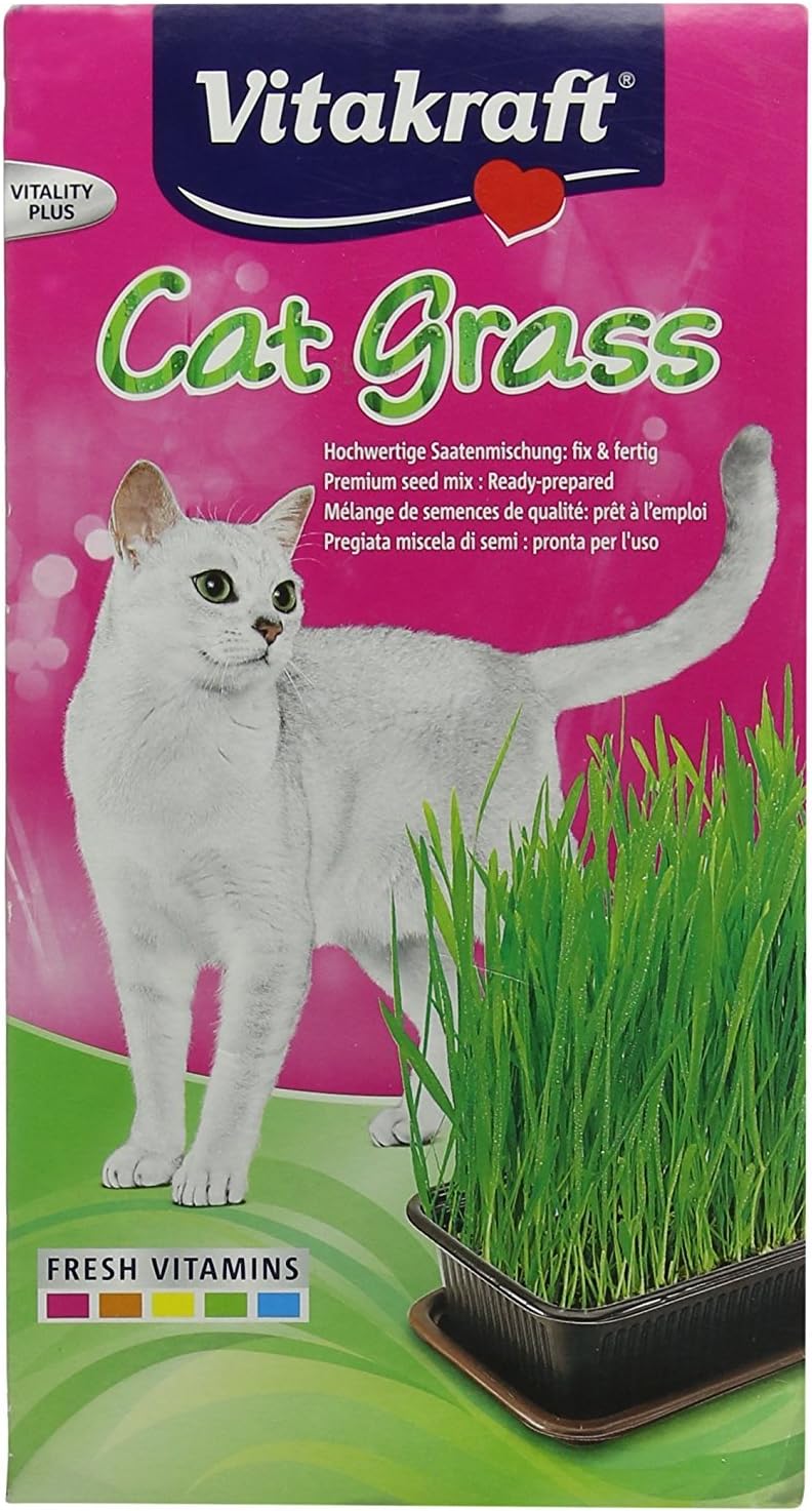 Vitakraft Cat Grass | Erba Gatta Con Vitamine | Per Bololi Di Pelo - Foto 3