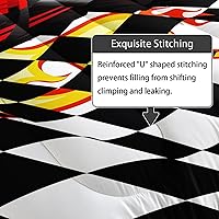 Vista 186 de Axolotl Kid Comforter Set Twin Size,Racing Car Bedding Set for Boys Girls Teen Kids Children Racing Gifts,Race Cars Quilt Bed Set with 1 Comforter 2