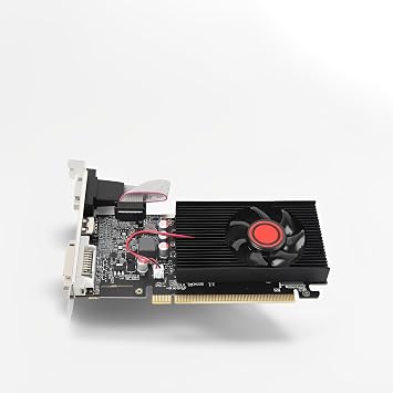 LICAEVEY GT610 2GB DDR3 64bit PCI Express X16 Graphics Card for Desktop PC Gaming, Business & Multimedia with VGA DVI Silent Cooling Fan