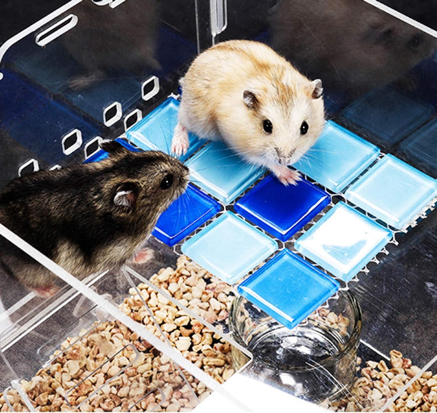 Jaula acrílica Transparente para hámster, Jaula de Animal PEQUEÑO, casa para hámster con Botella de Agua, Rueda para Correr, Escalera de Escalada, terrario Gerbil