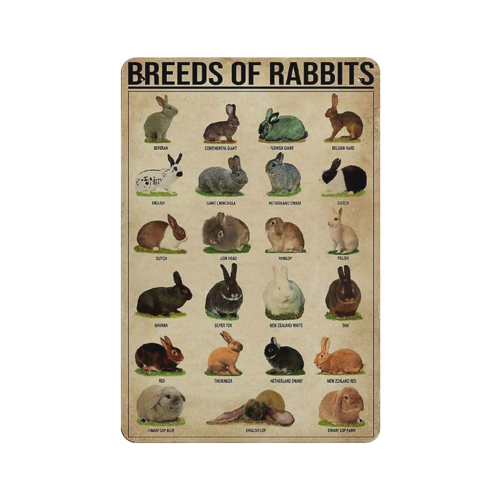 Metal Tin Sign Rabbit Breed Knowledge Vintage Tin Poster Metal Sign Wall Decoration Country Kitchen Home Garage Decor 12"x8"
