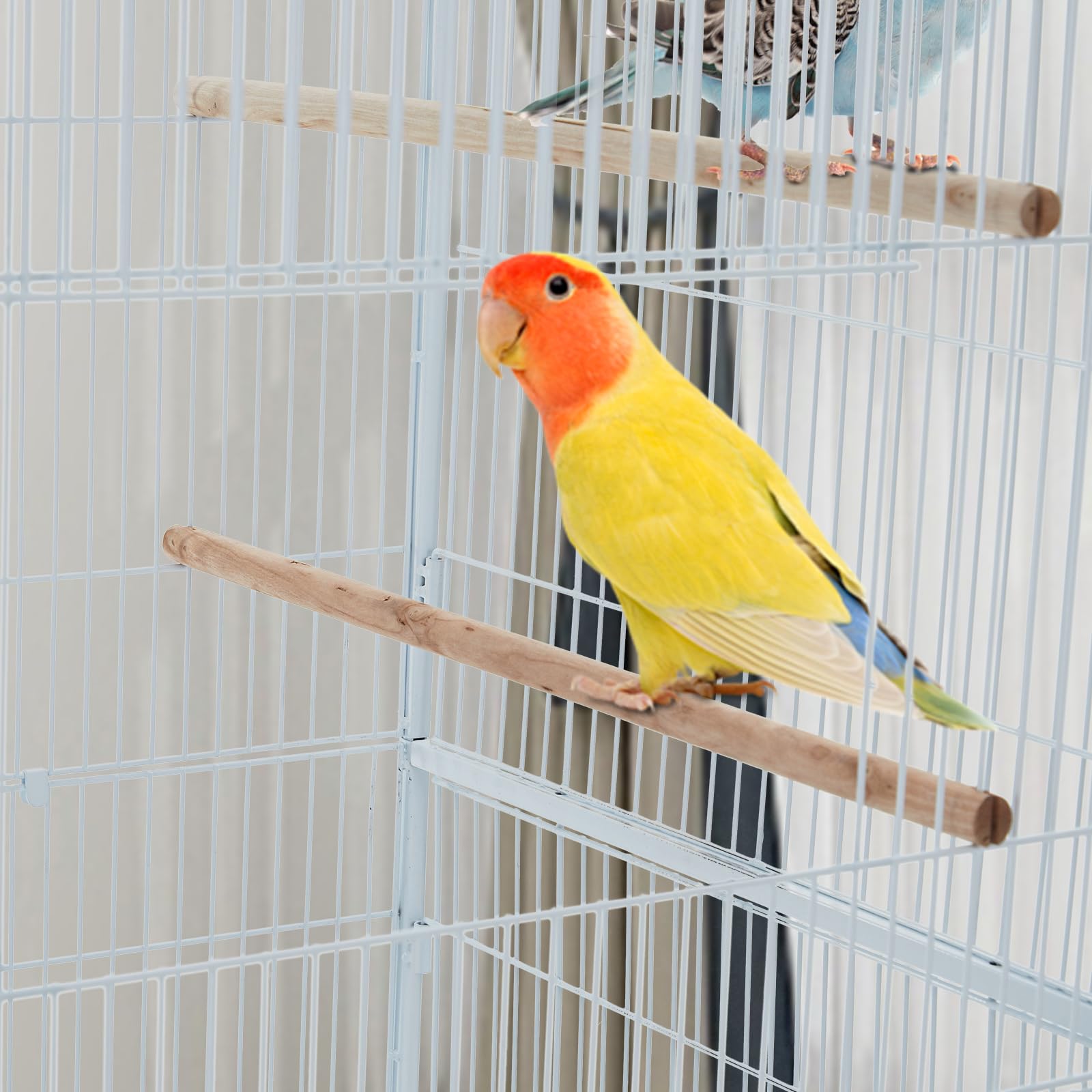 XXL Vogelvoliere Großer Vogelkäfig 63.5 x 53.5 x 138cm, Vogelbauer Wellensittich Kanarien mit Holzstangen und 4 Rollen mit Schmutzwanneneinsatz, Weiß