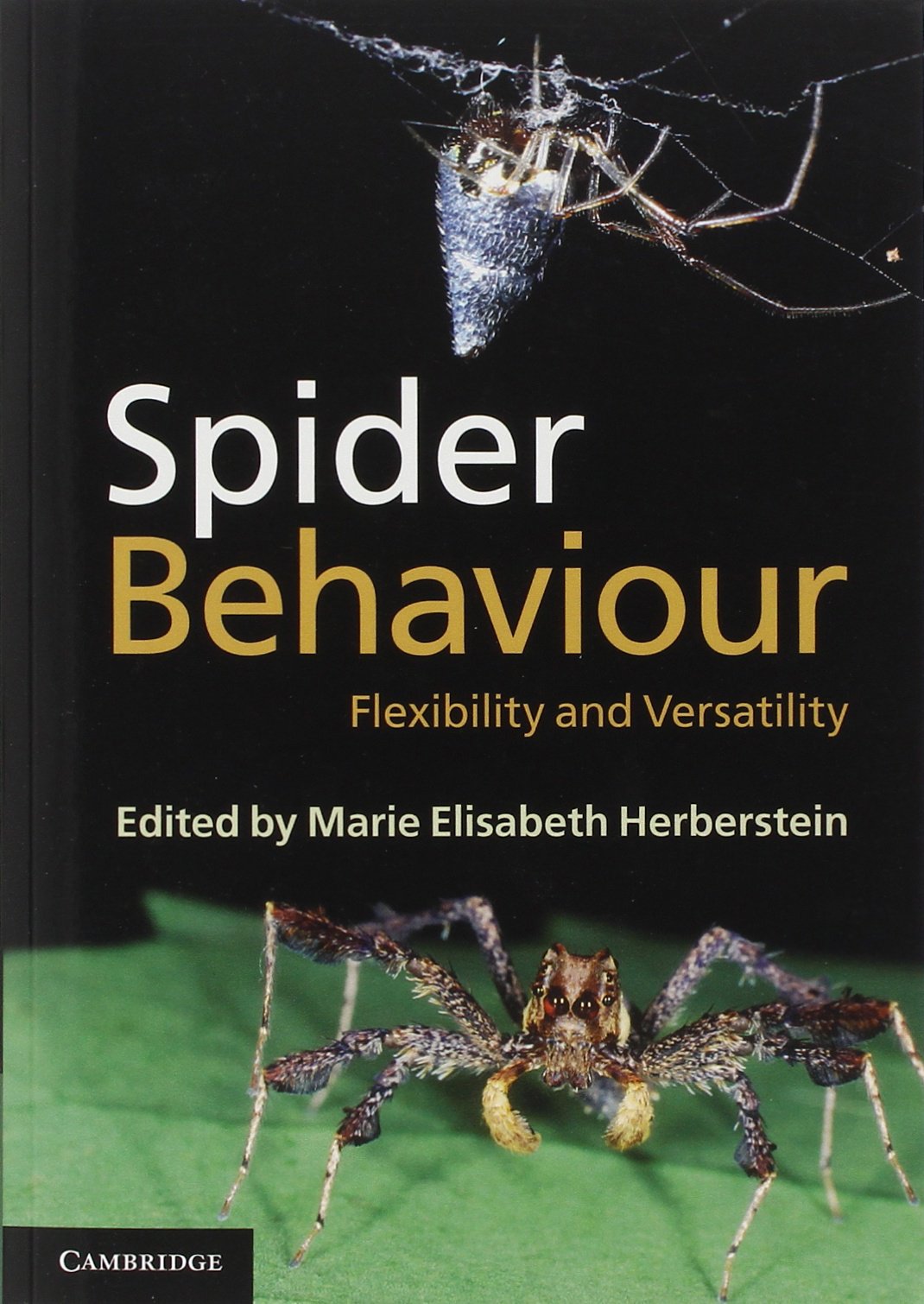 Spider Behaviour: Flexibility And Versatility